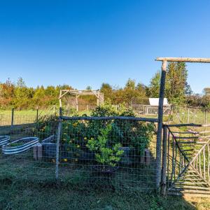 Photo #62 of 420 Watlington Road, Gretna, VA 8.8 acres