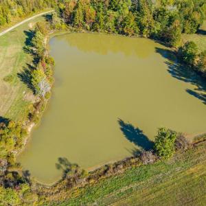 Photo #69 of 420 Watlington Road, Gretna, VA 8.8 acres
