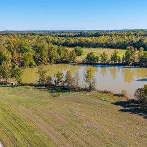 Photo #4 of 420 Watlington Road, Gretna, VA 8.8 acres