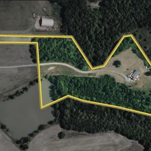 Photo #98 of 420 Watlington Road, Gretna, VA 8.8 acres