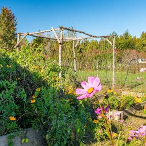 Photo #65 of 420 Watlington Road, Gretna, VA 8.8 acres