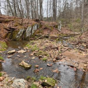 Photo #56 of 115 Foxwood Drive, Goode, VA 10.8 acres