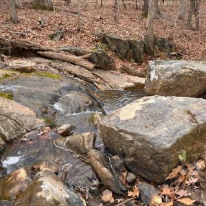 Photo #55 of 115 Foxwood Drive, Goode, VA 10.8 acres