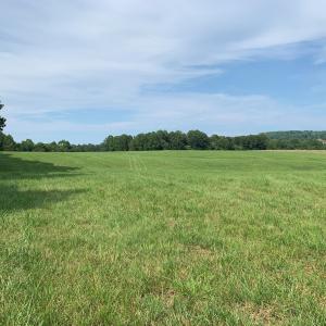 Photo #11 of 1528 Police Tower Rd, Appomattox, VA 23.3 acres