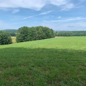 Photo #12 of 1528 Police Tower Rd, Appomattox, VA 23.3 acres