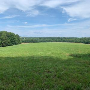 Photo #13 of 1528 Police Tower Rd, Appomattox, VA 23.3 acres