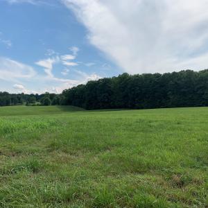 Photo #15 of 1528 Police Tower Rd, Appomattox, VA 23.3 acres