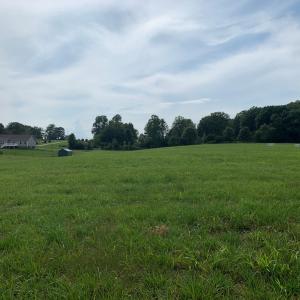 Photo #18 of 1528 Police Tower Rd, Appomattox, VA 23.3 acres