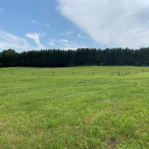 Photo #20 of 1528 Police Tower Rd, Appomattox, VA 23.3 acres