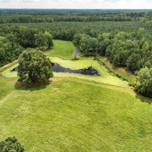 Photo #19 of 8259 Kings Highway, Drakes Branch, VA 66.0 acres