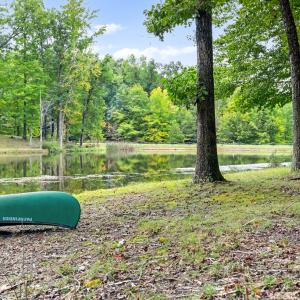 lake photo