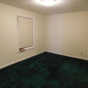 Primary Bedroom has plush carpeting