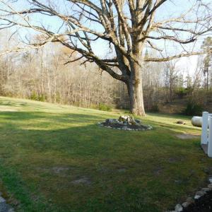 Front yard looking towards carport.