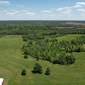 Photo #3 of 1501 Saxkey Rd, Drakes Branch, VA 86.0 acres