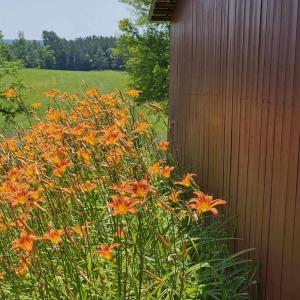 Photo #35 of 1501 Saxkey Rd, Drakes Branch, VA 86.0 acres