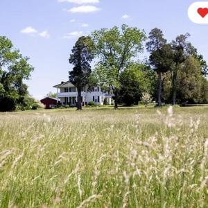 Photo #45 of 1501 Saxkey Rd, Drakes Branch, VA 86.0 acres