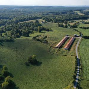 Photo #11 of 288 Cole Comfort Rd, Dillwyn, VA 122.0 acres