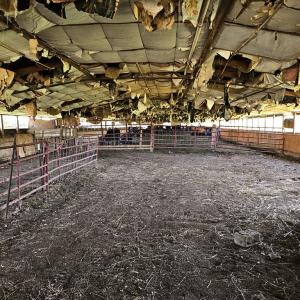 Photo #40 of 288 Cole Comfort Rd, Dillwyn, VA 122.0 acres