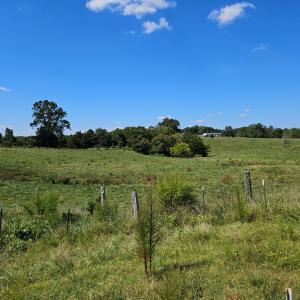 Photo #41 of 288 Cole Comfort Rd, Dillwyn, VA 122.0 acres