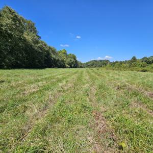 Photo #43 of 288 Cole Comfort Rd, Dillwyn, VA 122.0 acres