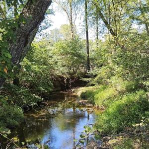 Photo #44 of 288 Cole Comfort Rd, Dillwyn, VA 122.0 acres