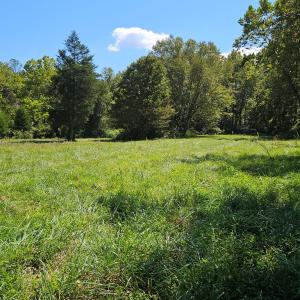 Photo #45 of 288 Cole Comfort Rd, Dillwyn, VA 122.0 acres