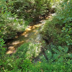 Photo #46 of 288 Cole Comfort Rd, Dillwyn, VA 122.0 acres