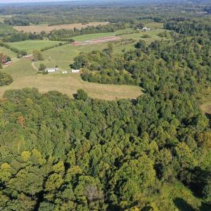 Photo #6 of 288 Cole Comfort Rd, Dillwyn, VA 122.0 acres