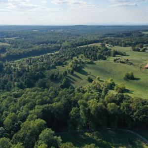 Photo #7 of 288 Cole Comfort Rd, Dillwyn, VA 122.0 acres
