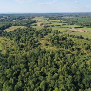 Photo #8 of 288 Cole Comfort Rd, Dillwyn, VA 122.0 acres