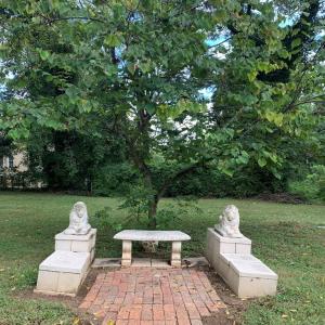 Photo #52 of 808 Grove Ave, Chase City, VA 1.6 acres