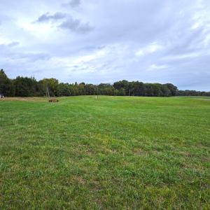Photo #25 of 3049 Farmville Road, Farmville, VA 21.7 acres