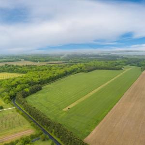 Photo #17 of 14121 SEASIDE RD, MACHIPONGO, VA 175.0 acres