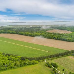 Photo #15 of 14121 SEASIDE RD, MACHIPONGO, VA 175.0 acres