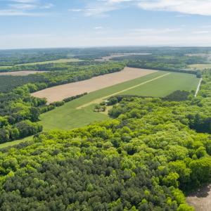 Photo #21 of 14121 SEASIDE RD, MACHIPONGO, VA 175.0 acres