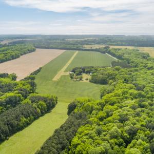 Photo #22 of 14121 SEASIDE RD, MACHIPONGO, VA 175.0 acres