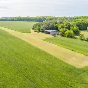 Photo #14 of 14121 SEASIDE RD, MACHIPONGO, VA 175.0 acres