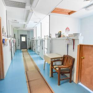 Kennel interior