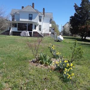 Photo #9 of 210 COLLEGE AVE, Blackstone, VA 0.7 acres