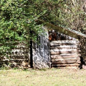 Photo #10 of 58 Peaks Road, Prospect, VA 1.0 acres