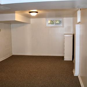 Flex room in basement