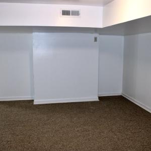 Another Flex room in basement