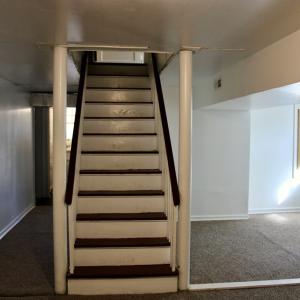 New carpet in basement