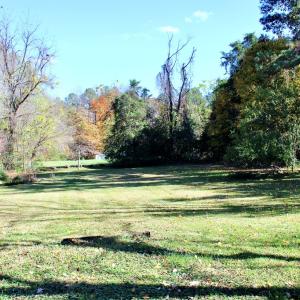 Spacious back yard