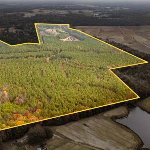 Photo #100 of 574 Old Kings Rd, Drakes Branch, VA 105.3 acres