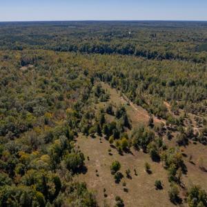 Photo #24 of 2826 Burkeville Road, Victoria, VA 86.3 acres