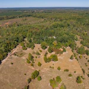 Photo #25 of 2826 Burkeville Road, Victoria, VA 86.3 acres