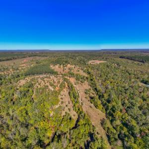 Photo #26 of 2826 Burkeville Road, Victoria, VA 86.3 acres
