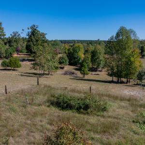 Photo #28 of 2826 Burkeville Road, Victoria, VA 86.3 acres