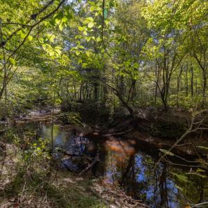 Photo #30 of 2826 Burkeville Road, Victoria, VA 86.3 acres